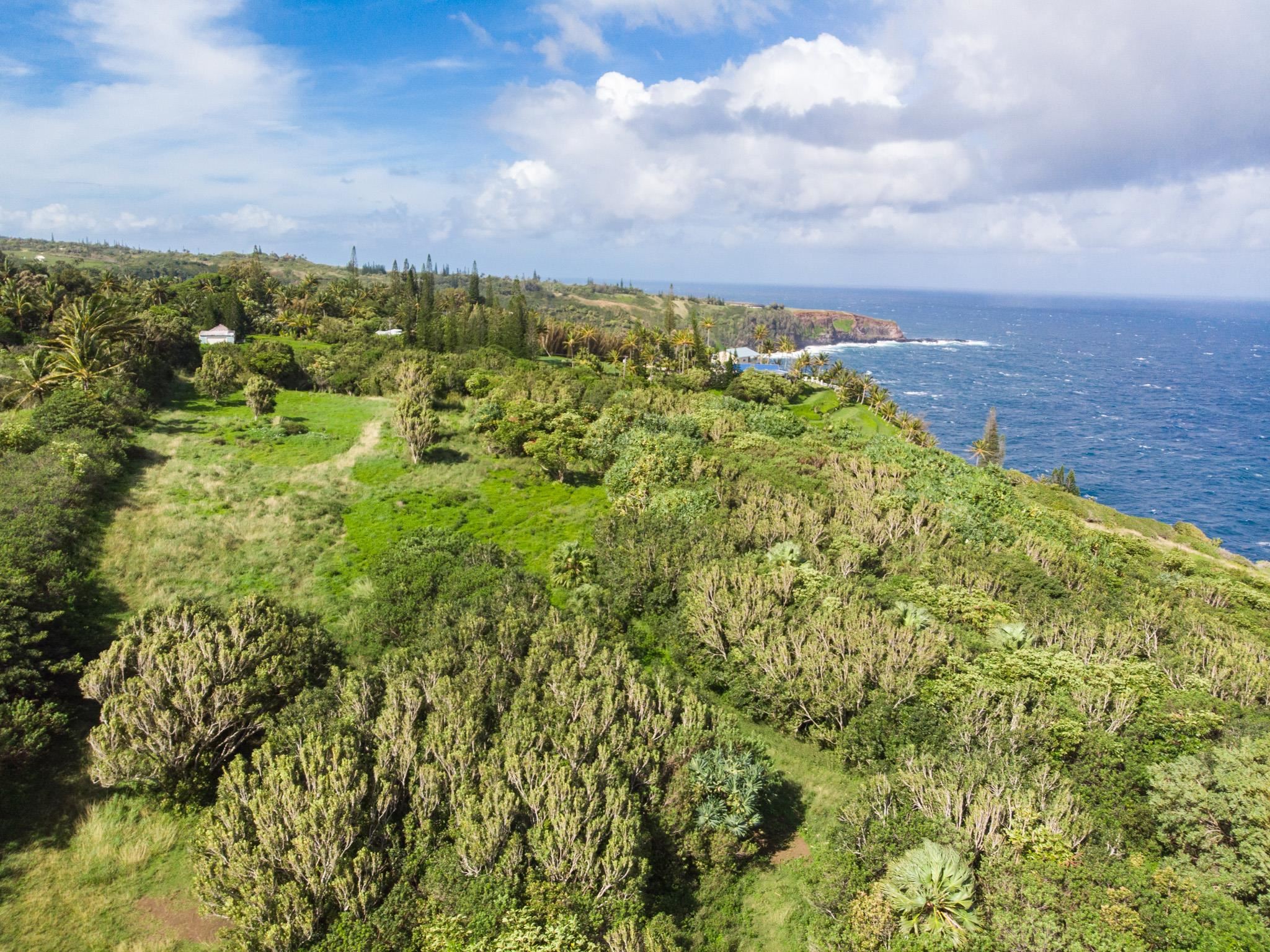 190 Door of Faith Rd Lot Lot A in Door of Faith 1,350,000 Haiku